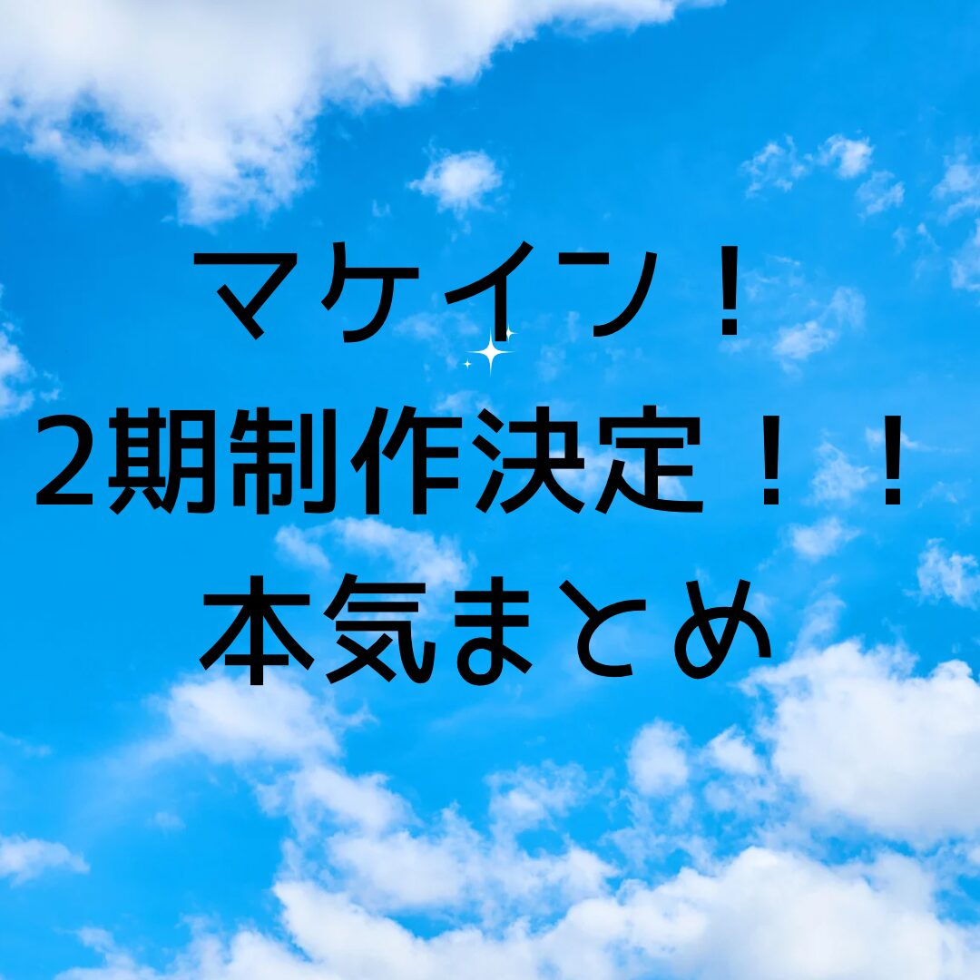 マケイン　2期　まとめ　考察